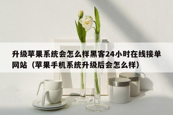 升级苹果系统会怎么样黑客24小时在线接单网站（苹果手机系统升级后会怎么样）