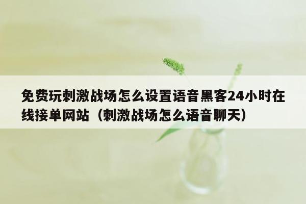 免费玩刺激战场怎么设置语音黑客24小时在线接单网站（刺激战场怎么语音聊天）