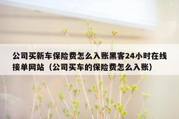 公司买新车保险费怎么入账黑客24小时在线接单网站（公司买车的保险费怎么入账）