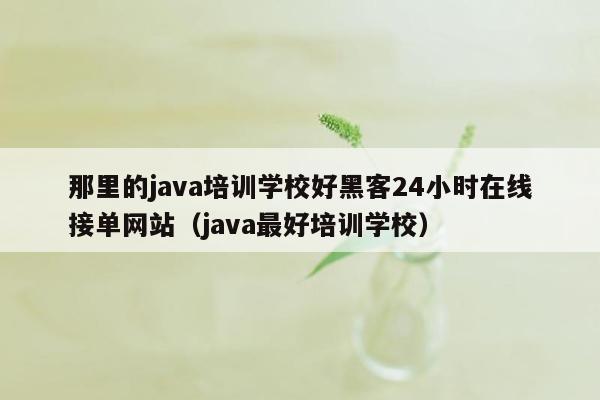 那里的java培训学校好黑客24小时在线接单网站（java最好培训学校）