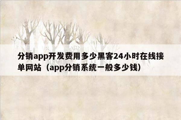 分销app开发费用多少黑客24小时在线接单网站（app分销系统一般多少钱）