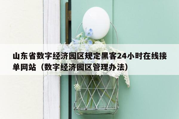 山东省数字经济园区规定黑客24小时在线接单网站（数字经济园区管理办法）