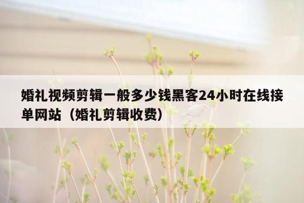 婚礼视频剪辑一般多少钱黑客24小时在线接单网站（婚礼剪辑收费）