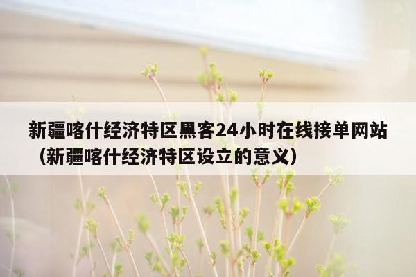 新疆喀什经济特区黑客24小时在线接单网站（新疆喀什经济特区设立的意义）