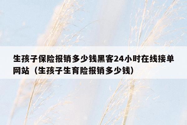 生孩子保险报销多少钱黑客24小时在线接单网站（生孩子生育险报销多少钱）