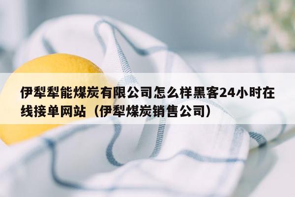 伊犁犁能煤炭有限公司怎么样黑客24小时在线接单网站（伊犁煤炭销售公司）