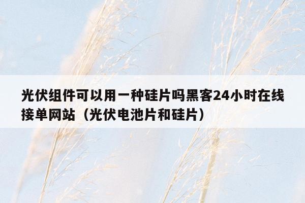 光伏组件可以用一种硅片吗黑客24小时在线接单网站（光伏电池片和硅片）