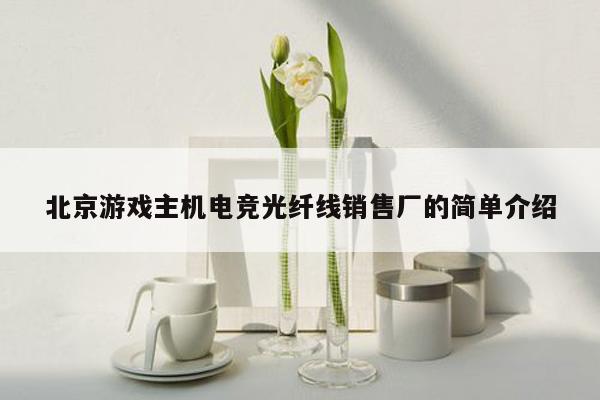 北京游戏主机电竞光纤线销售厂的简单介绍