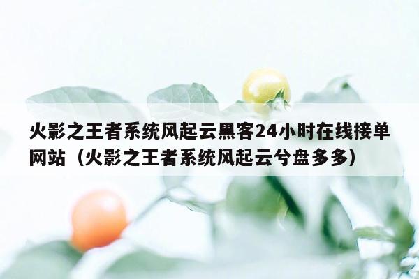 火影之王者系统风起云黑客24小时在线接单网站（火影之王者系统风起云兮盘多多）