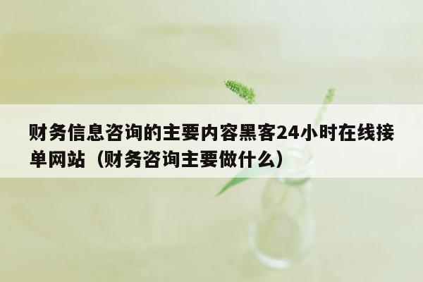 财务信息咨询的主要内容黑客24小时在线接单网站（财务咨询主要做什么）