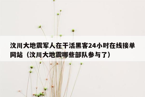 汶川大地震军人在干活黑客24小时在线接单网站（汶川大地震哪些部队参与了）