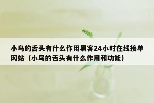 小鸟的舌头有什么作用黑客24小时在线接单网站（小鸟的舌头有什么作用和功能）