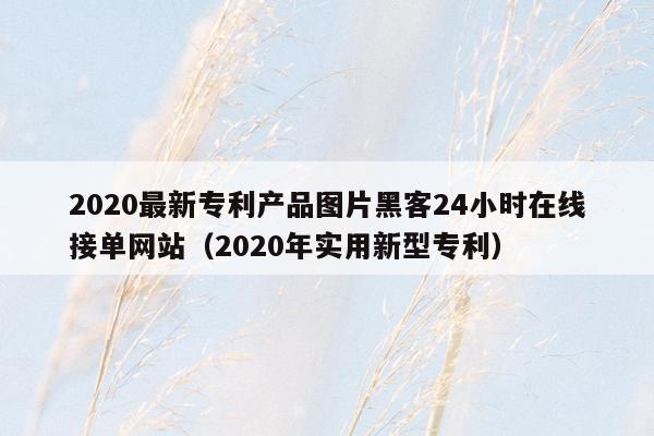 2020最新专利产品图片黑客24小时在线接单网站（2020年实用新型专利）