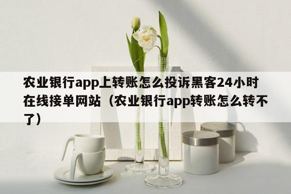 农业银行app上转账怎么投诉黑客24小时在线接单网站（农业银行app转账怎么转不了）