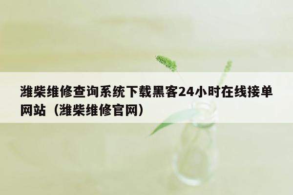 潍柴维修查询系统下载黑客24小时在线接单网站（潍柴维修官网）