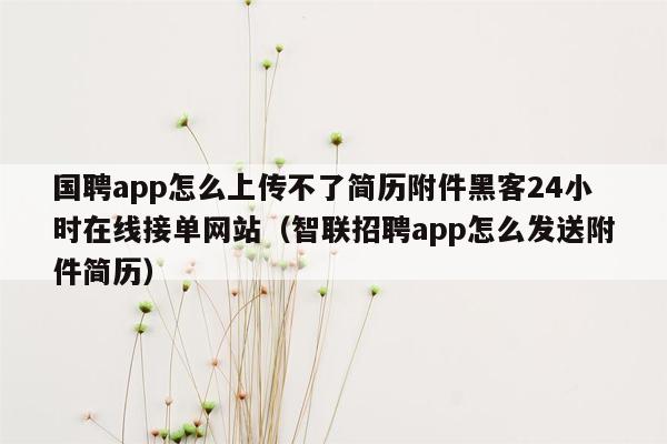 国聘app怎么上传不了简历附件黑客24小时在线接单网站（智联招聘app怎么发送附件简历）