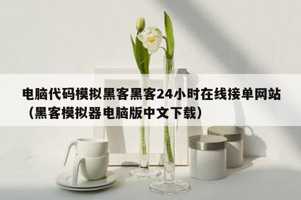 电脑代码模拟黑客黑客24小时在线接单网站（黑客模拟器电脑版中文下载）