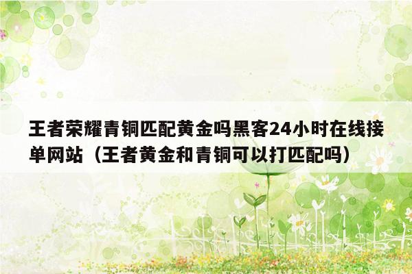 王者荣耀青铜匹配黄金吗黑客24小时在线接单网站（王者黄金和青铜可以打匹配吗）