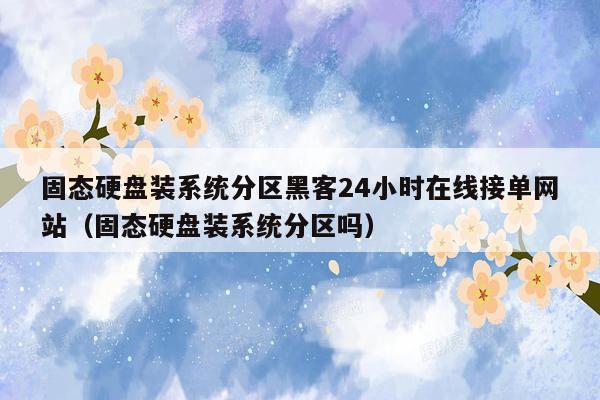 固态硬盘装系统分区黑客24小时在线接单网站（固态硬盘装系统分区吗）