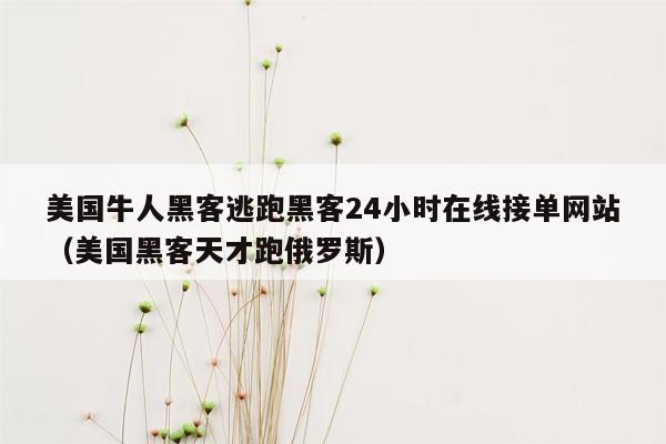 美国牛人黑客逃跑黑客24小时在线接单网站（美国黑客天才跑俄罗斯）