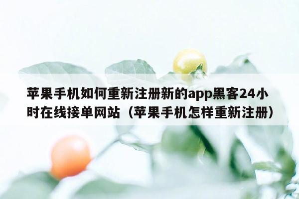 苹果手机如何重新注册新的app黑客24小时在线接单网站（苹果手机怎样重新注册）