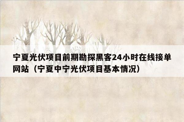 宁夏光伏项目前期勘探黑客24小时在线接单网站（宁夏中宁光伏项目基本情况）