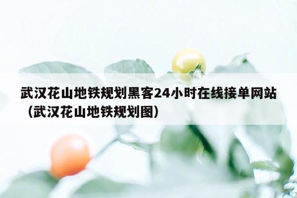 武汉花山地铁规划黑客24小时在线接单网站（武汉花山地铁规划图）