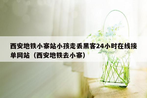 西安地铁小寨站小孩走丢黑客24小时在线接单网站（西安地铁去小寨）