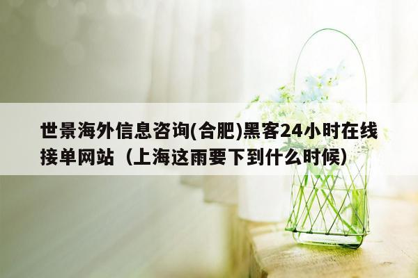 世景海外信息咨询(合肥)黑客24小时在线接单网站（上海这雨要下到什么时候）