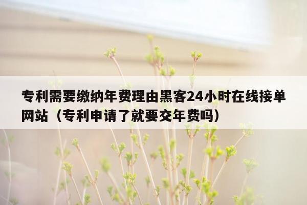 专利需要缴纳年费理由黑客24小时在线接单网站（专利申请了就要交年费吗）