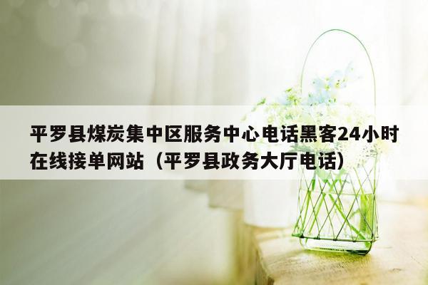 平罗县煤炭集中区服务中心电话黑客24小时在线接单网站（平罗县政务大厅电话）