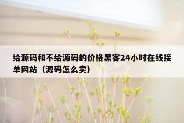 给源码和不给源码的价格黑客24小时在线接单网站（源码怎么卖）