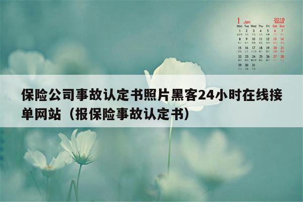 保险公司事故认定书照片黑客24小时在线接单网站（报保险事故认定书）