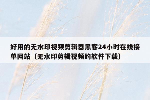 好用的无水印视频剪辑器黑客24小时在线接单网站（无水印剪辑视频的软件下载）