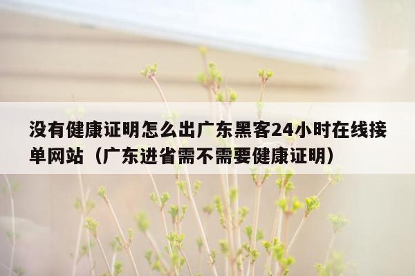 没有健康证明怎么出广东黑客24小时在线接单网站（广东进省需不需要健康证明）