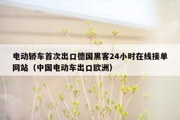 电动轿车首次出口德国黑客24小时在线接单网站（中国电动车出口欧洲）