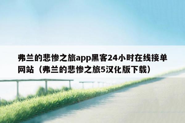 弗兰的悲惨之旅app黑客24小时在线接单网站（弗兰的悲惨之旅5汉化版下载）