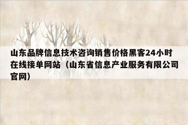 山东品牌信息技术咨询销售价格黑客24小时在线接单网站（山东省信息产业服务有限公司官网）