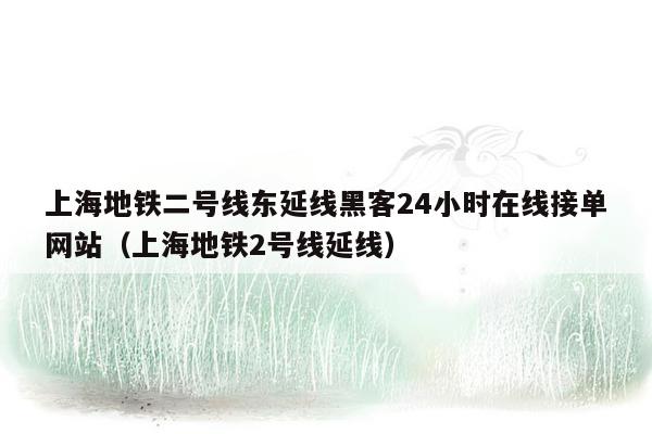 上海地铁二号线东延线黑客24小时在线接单网站（上海地铁2号线延线）