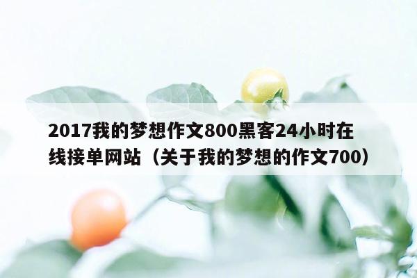 2017我的梦想作文800黑客24小时在线接单网站（关于我的梦想的作文700）