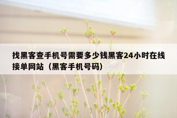 找黑客查手机号需要多少钱黑客24小时在线接单网站（黑客手机号码）