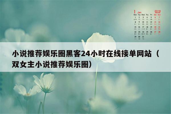 小说推荐娱乐圈黑客24小时在线接单网站（双女主小说推荐娱乐圈）