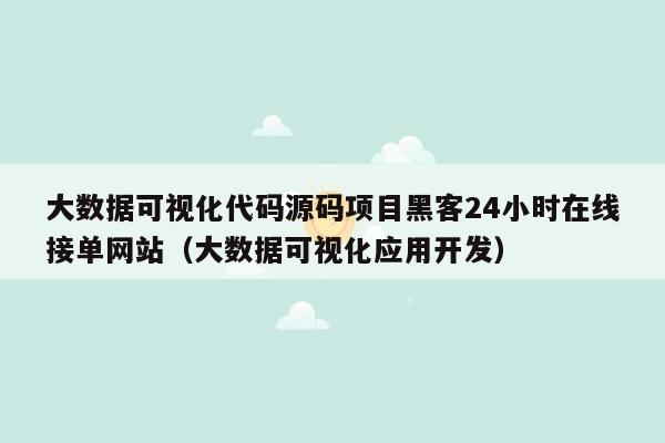 大数据可视化代码源码项目黑客24小时在线接单网站（大数据可视化应用开发）