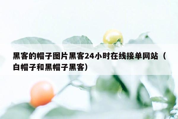 黑客的帽子图片黑客24小时在线接单网站（白帽子和黑帽子黑客）