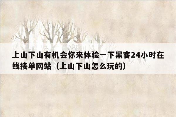 上山下山有机会你来体验一下黑客24小时在线接单网站（上山下山怎么玩的）