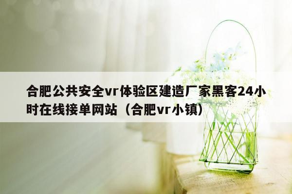 合肥公共安全vr体验区建造厂家黑客24小时在线接单网站（合肥vr小镇）