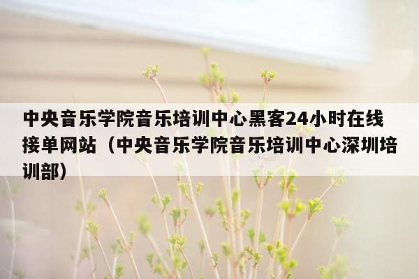 中央音乐学院音乐培训中心黑客24小时在线接单网站（中央音乐学院音乐培训中心深圳培训部）