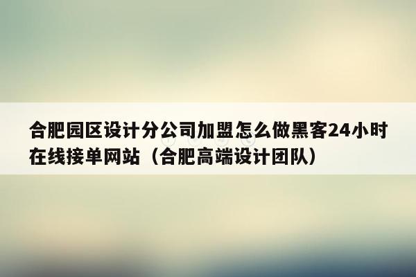 合肥园区设计分公司加盟怎么做黑客24小时在线接单网站（合肥高端设计团队）