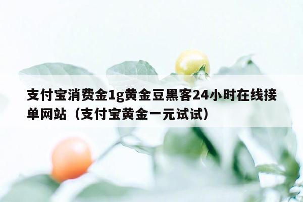 支付宝消费金1g黄金豆黑客24小时在线接单网站（支付宝黄金一元试试）