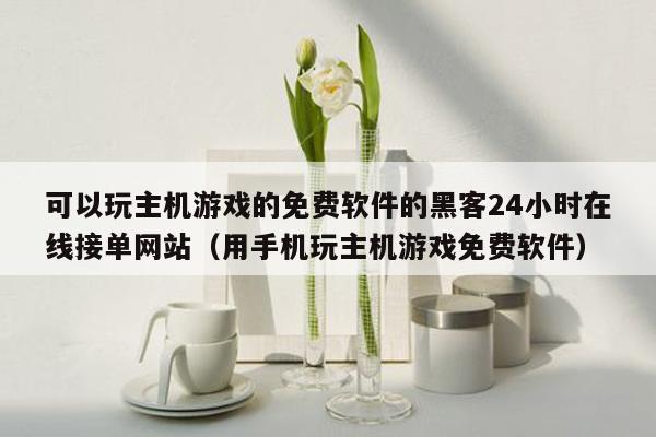 可以玩主机游戏的免费软件的黑客24小时在线接单网站（用手机玩主机游戏免费软件）